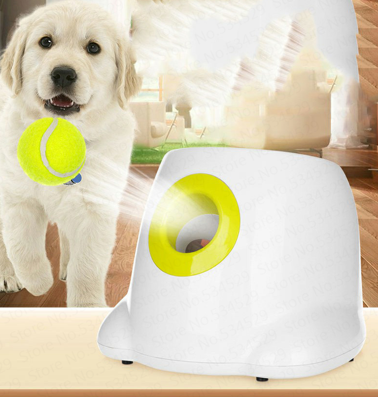 🐾 Pet & Dog Essentials