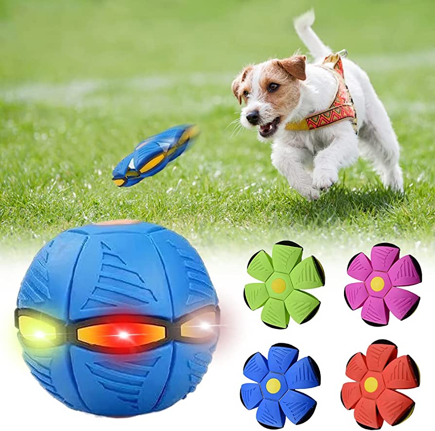 Squishy dog frisbee – photo 7 of 7