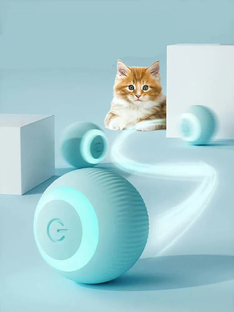 Interactive self-rolling cat ball – Zoventy